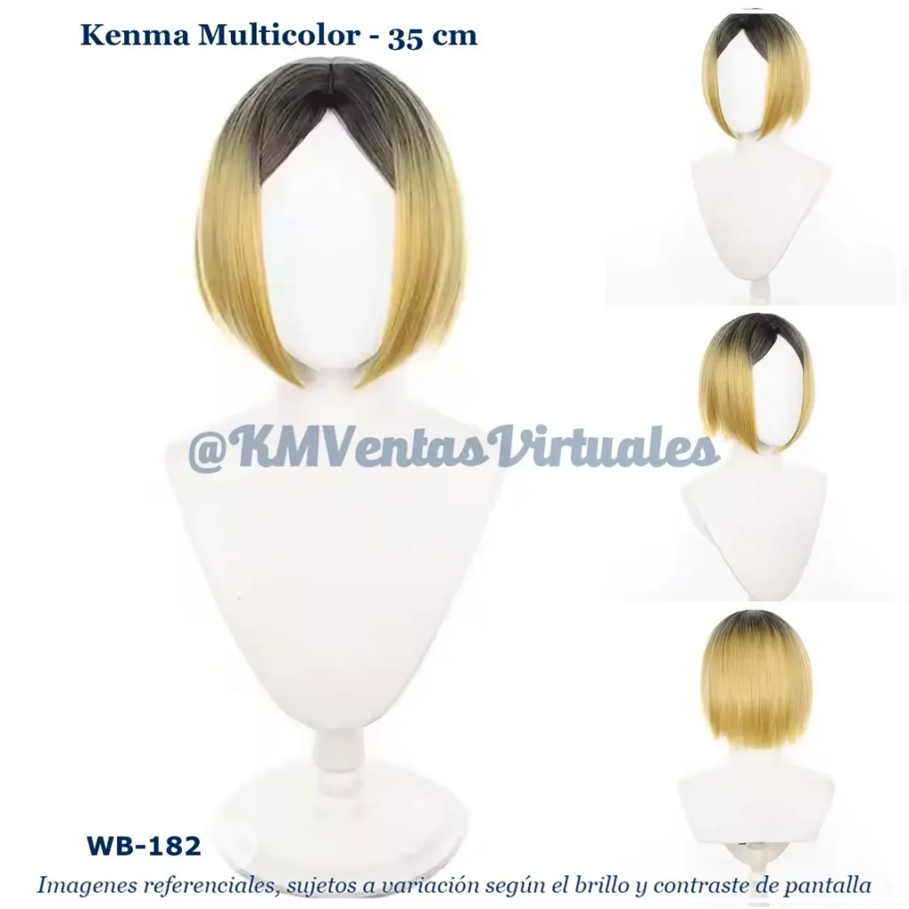 Peluca Kenma Mixto Corta (WB-182)