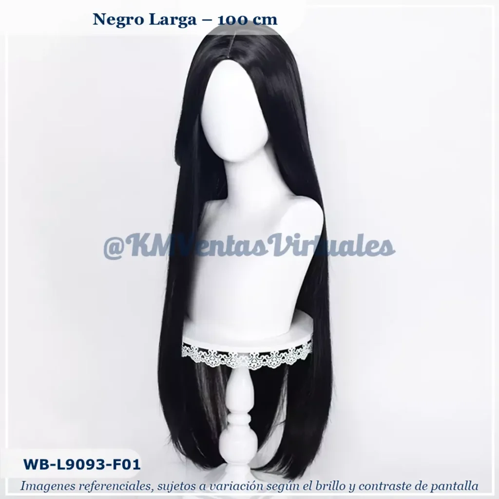 Peluca Hancock Negro Larga (WB-L9093-F01)