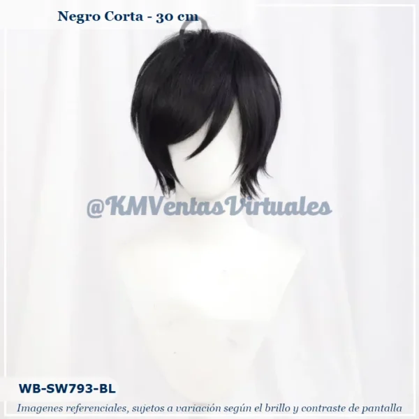 Peluca Negro Corta (WB-SW793-BL)