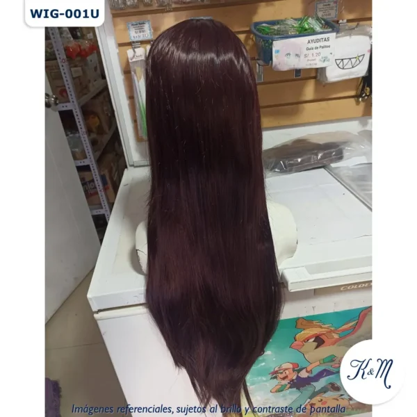 Peluca Marrón Larga (WIG-001U) - Image 4