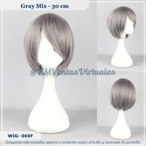 Peluca Kouichi Gris Corta (WIG-069F)